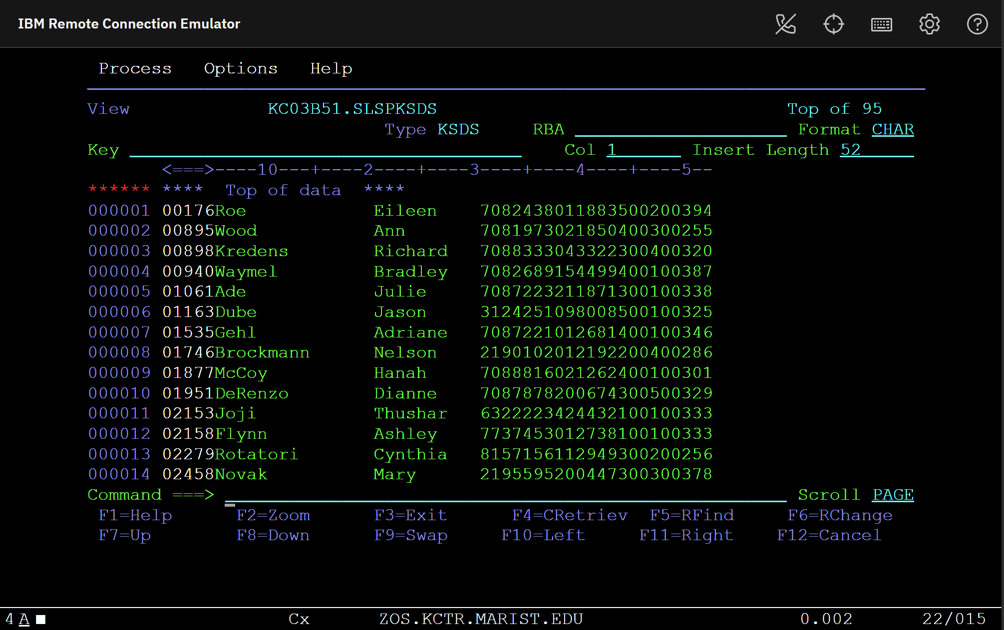 IBM Remote Connection Emulator showing a VSAM KSDS dataset with record keys, last names and first names